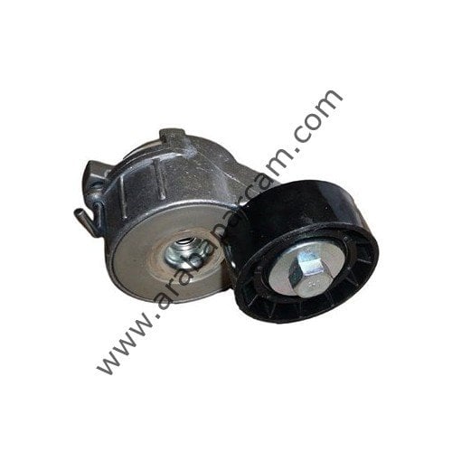 Peugeot Alternatör Gergi Rulmanı V kayış Gergi Rulmanı 1611424880