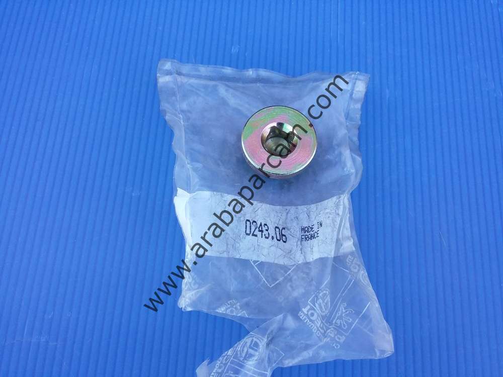 PEUGEOT SİLİNDİR KAPAK TAPASI 0243.06