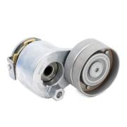 Renault Megane 2 1.9Dizel F9Q Alternatör Gergi Rulmanı Komple 8200905328