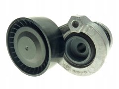 Renault Clio 4 Capture Magene 3 Alternatör Gergi Rulmanı Kütüklü 117501113R