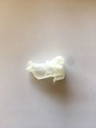 Renault Laguna Agraf 7703077388