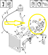 Peugeot 206-Xsara-307 1.4-1.6 Radyatör Alt Hortumu 1351.CL-9636210780
