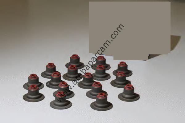 PEUGEOT SÜBAP LASTİĞİ 306/406/XSARA/XANTİA  2.0 16V 0956.42V